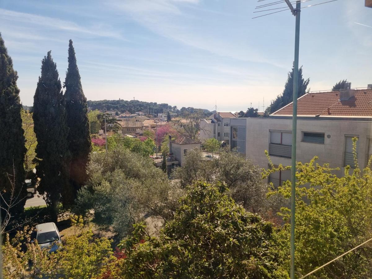 Greenview Apartment With Parking Rovinj Extérieur photo